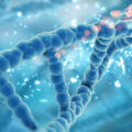 The Science Behind Stem Cells: How Your Body Heals Itself